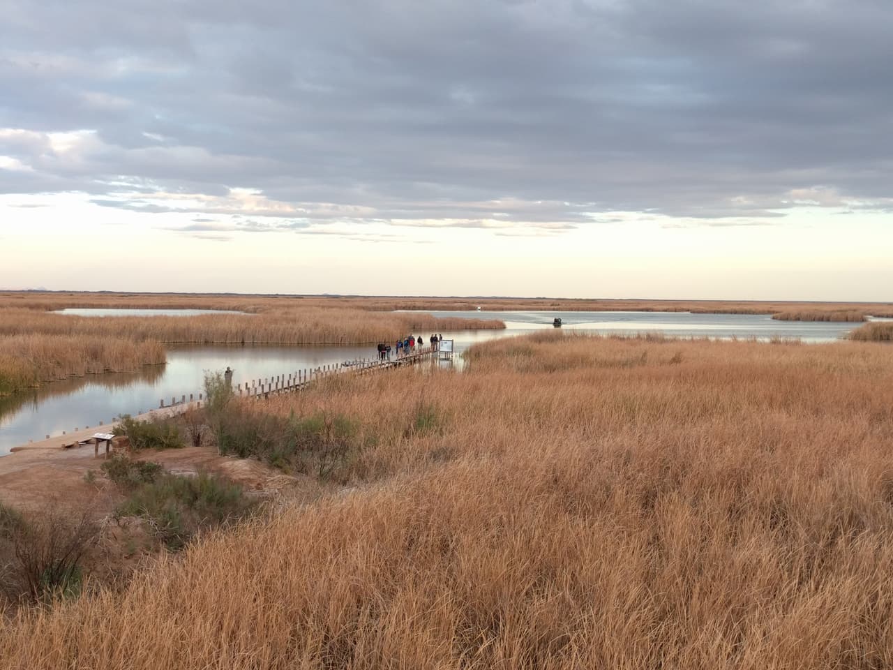 También en México existe la llamada Ciénaga Santa Clara que es resultado de un accidente.