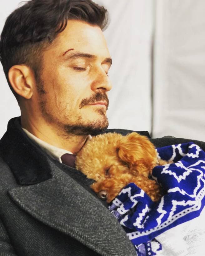 Katy y Orlando no han tenido hijos, pero cuidan al pequeño 'Nugget' (foto), su mascota, como si lo fuera.