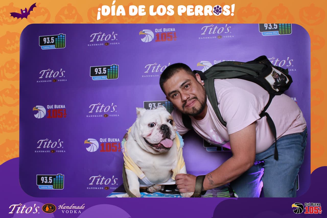 Cual fue tu favorito?