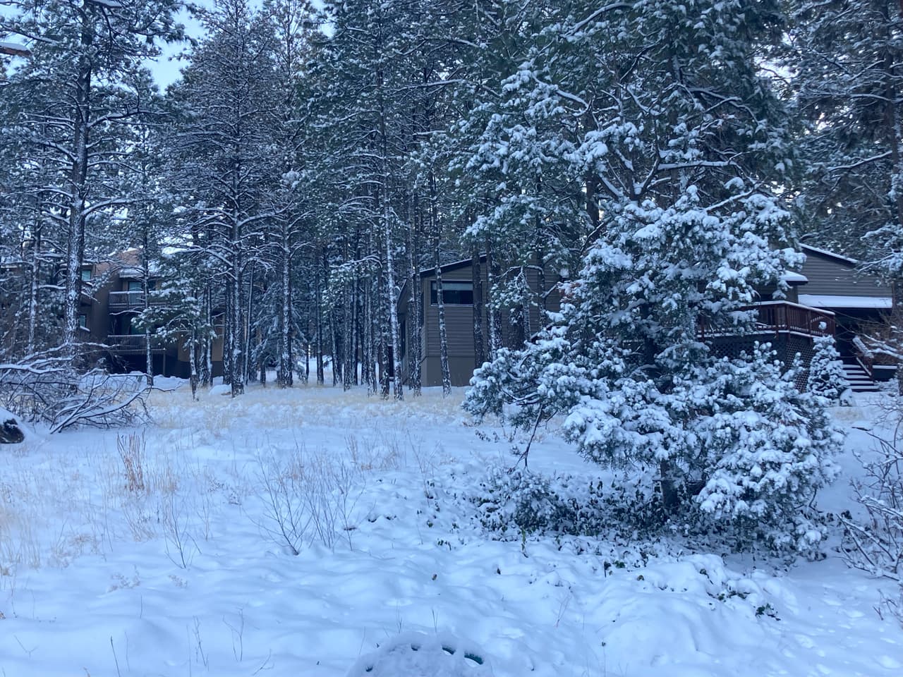 La nieve se detuvo al empezar la mañana pero debido al mal tiempo los distritos escolares prefirieron cancelar las clases.