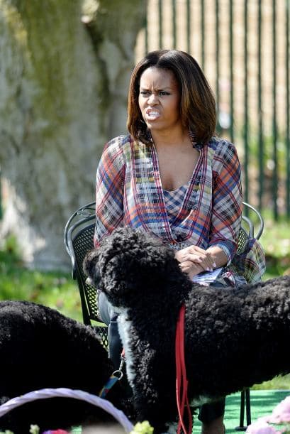 Bo y Sunny son perros de agua portugueses, una raza conocida por su origen pesquero. Mira también todos los beneficios de tener perros como los del presidente