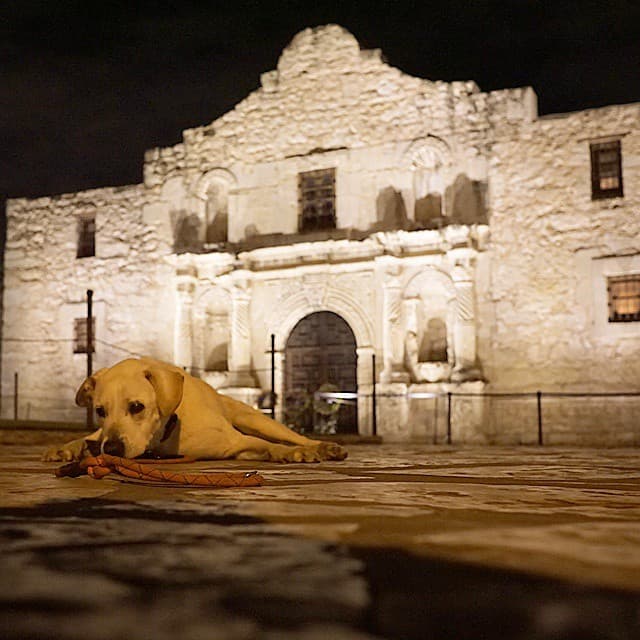 Cuando estaba en San Antonio, Texas, tuvo mucho sueño. Por eso se quedó a dormir un rato.