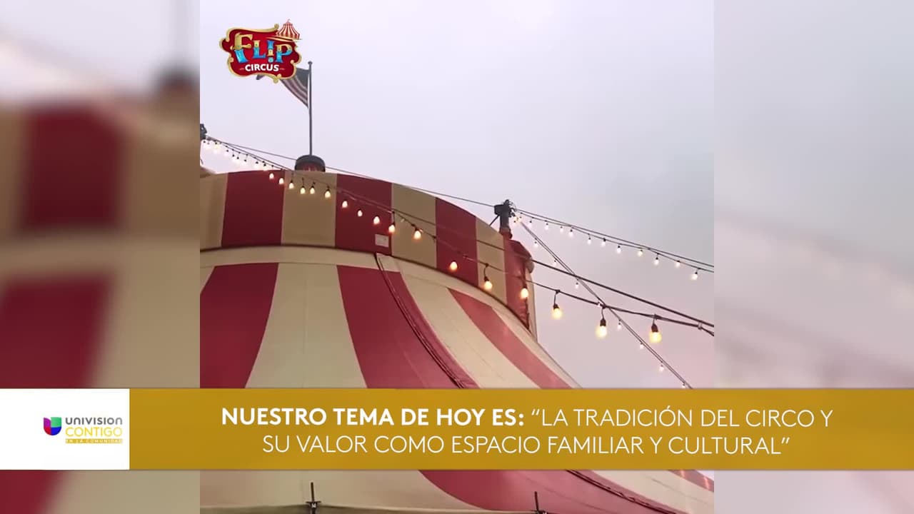 Flip Circus: Tradición, Magia y Alegría que Unen Generaciones