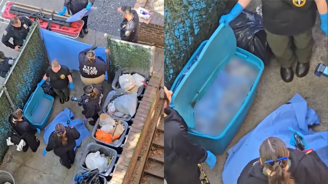 Encuentran cabeza y torso humano en un contenedor de basura en Brooklyn