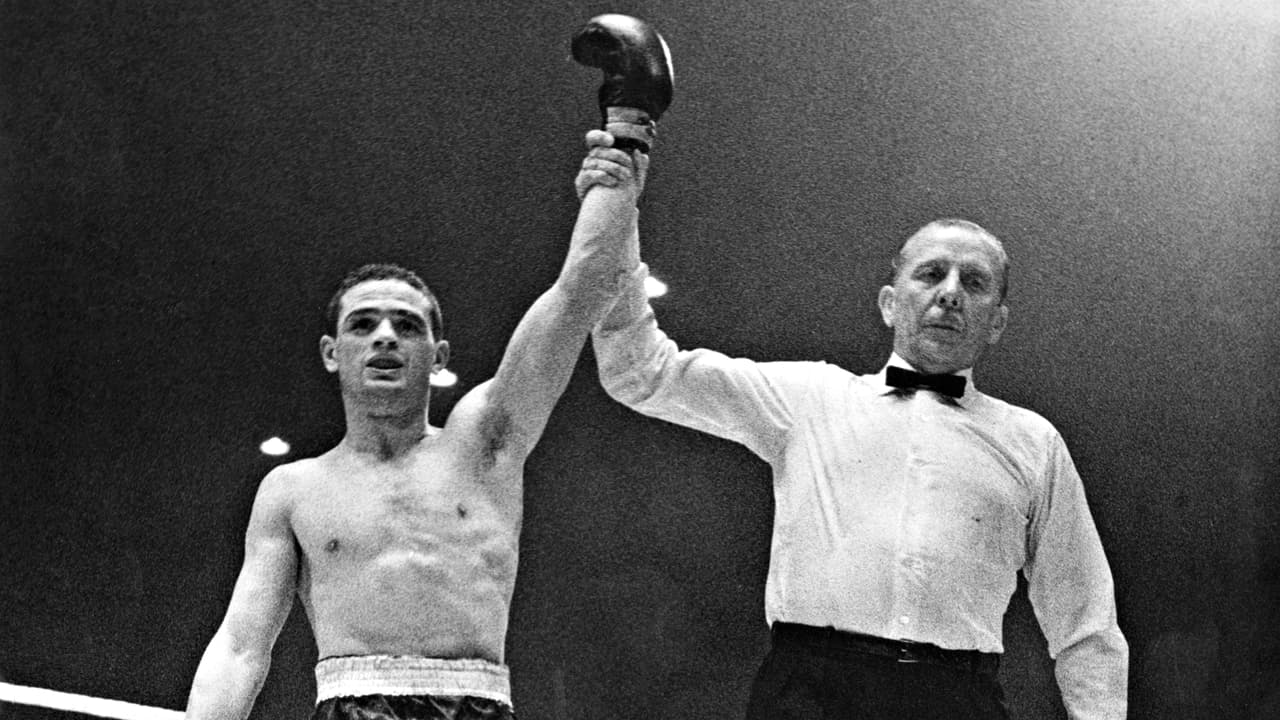 Alphonse Halimi nació en Constantine, Argelia, en 1932, pero se formó en Francia. Campeón Mundial de peso gallo al vencer al italiano Mario Dagata en 1957. Tras finalizar su carrera como púgil, Halimi despilfarro su dinero, al punto de perder sus ahorros y también a su esposa, quien lo abandonó por esa falta de dominio en sus finanzas. Murió en el 2006, en París.