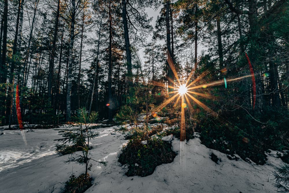 Al decir “lo siento” asumes tu error, con “perdóname” te haces responsable de tus actos, con “gracias” aceptas que existe una fuerza mayor que tu ego, y con “te amo” conectas con el amor propio. 
<br>
<br>