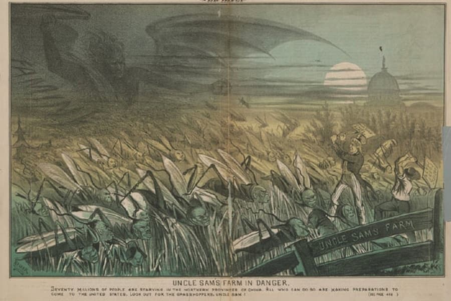 Esta ilustración, titulada 'La granja del Tío Sam en peligro',
<b> retrata a los trabajadores chinos como una plaga de langostas</b>. Los insectos, con rasgos asiáticos, destruyen los campos mientras el Tío Sam trata de espantarlos con ayuda de otra figura que representa a la prensa californiana. La viñeta es de 1878, cuatro años antes de que el Congreso aprobara la ley de exclusión china.