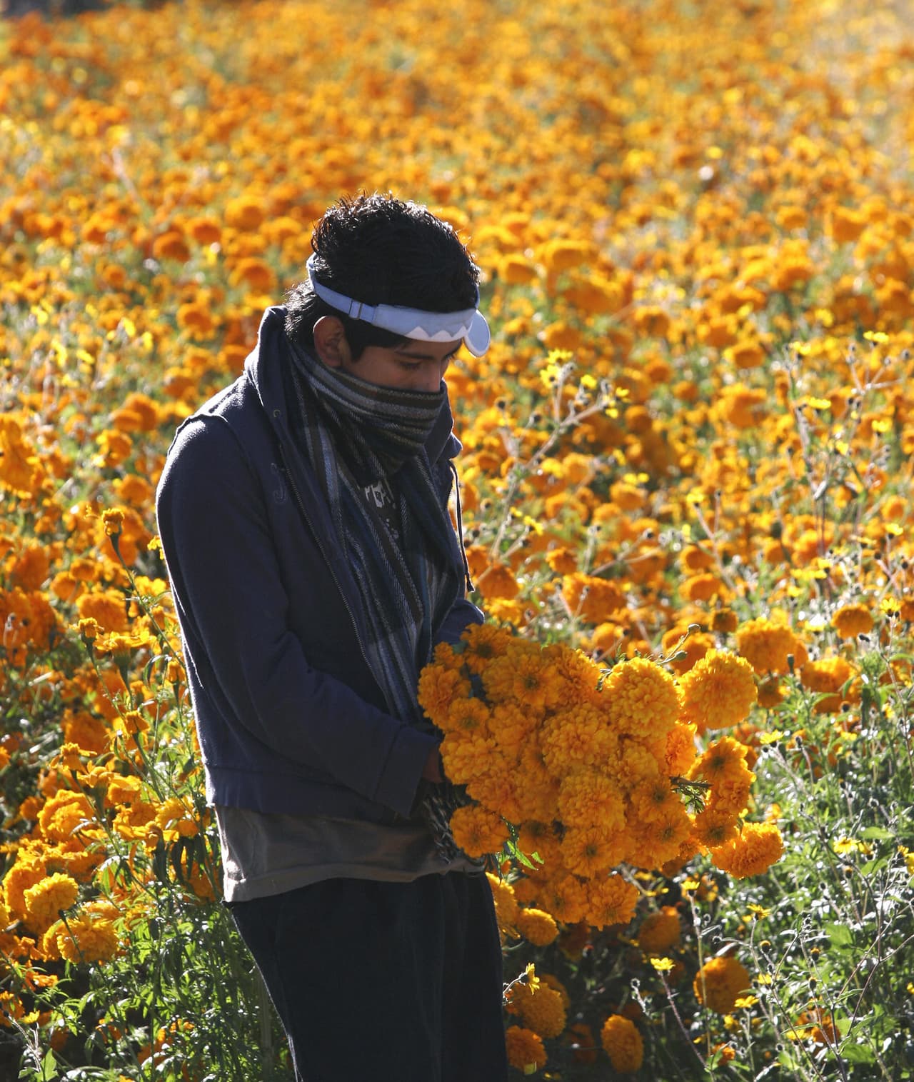Desde hace siglos el cempasúchil aparece en literatura de la medicina herbolaria de México. En numerosas poblaciones del México actual se conserva su gran uso medicinal. Su indicación más frecuente es para los trastornos digestivos pero también para enfermedades de las vías respiratorias.