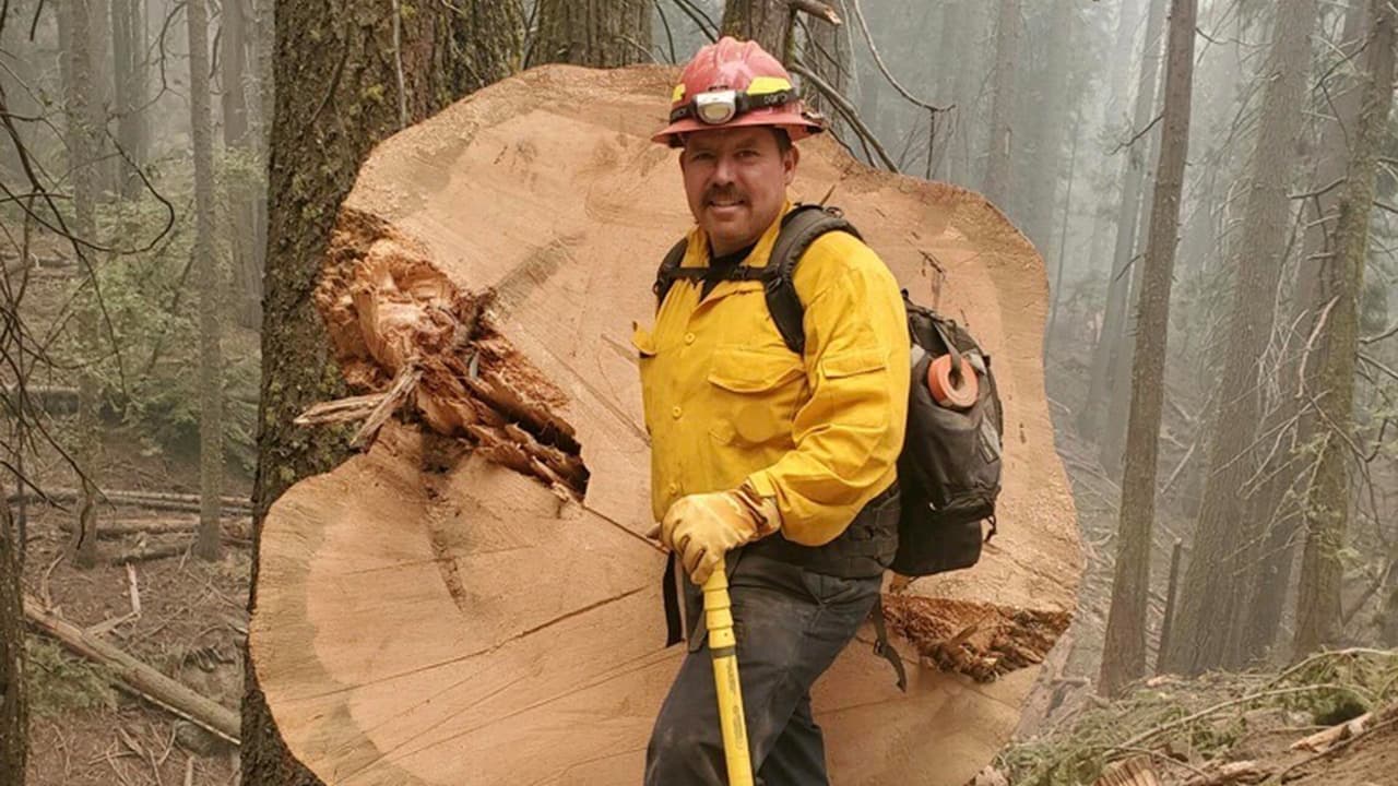 El condado Montgomery indica que 14 de sus bomberos regresarán en un vuelo charter el martes por la noche cortesía de Southwest Airlines. Además hay otros 30 del área de Houston que lo harán y 69 de Dallas.