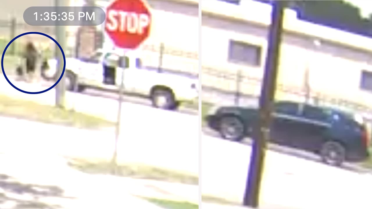 Maltrato animal: Autoridades de Houston buscan a sospechoso de disparar y matar a un perro afuera de una iglesia