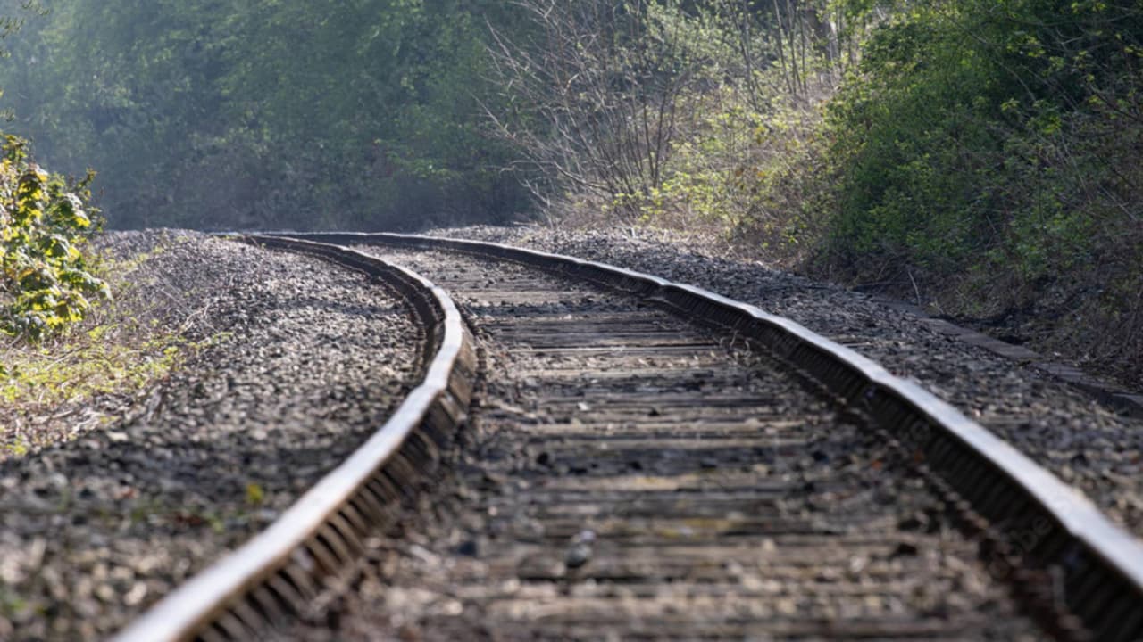 Tres personas murieron tras el choque de un tren contra una camioneta en Virginia