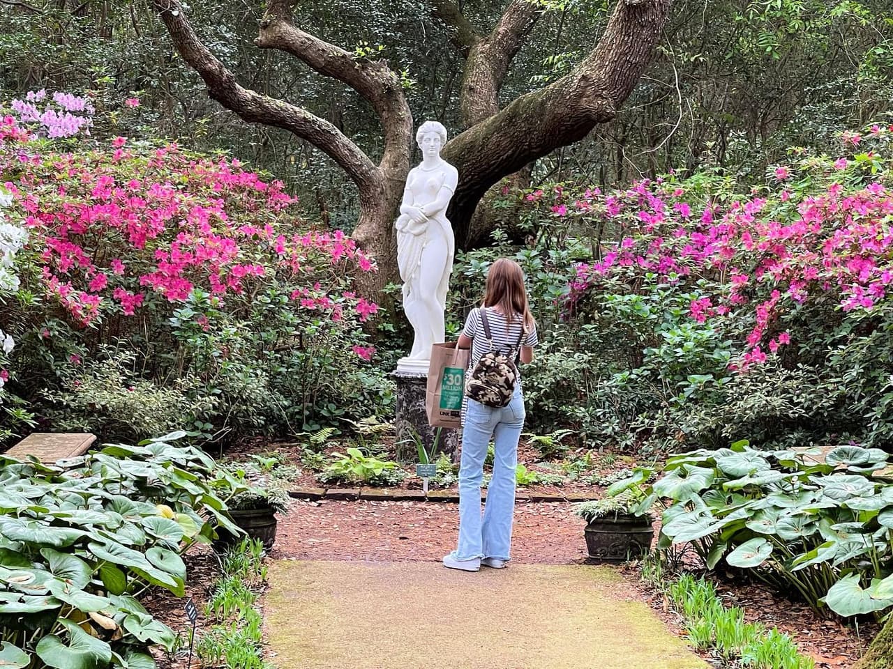 <b><a href="https://www.elizabethangardens.org/">Elizabethan Gardens (Manteo)</a></b>. Las colecciones incluyen plantas nativas, azaleas, mirtos, hortensias, coníferas y flores de temporada.
<br>
<br>
<b><a href="https://goo.gl/maps/pp4HmCFs2fwZL9DHA">Cómo llegar</a></b>