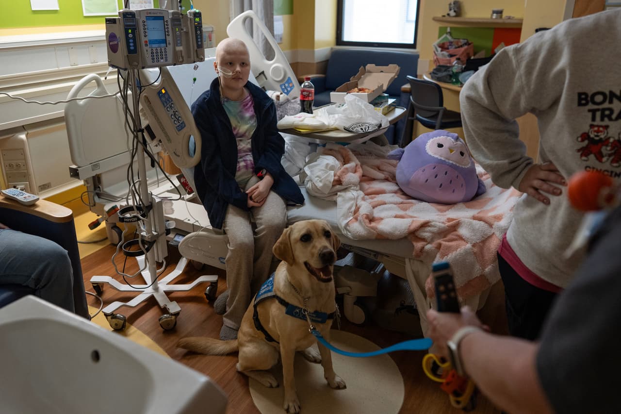 Hadley, la perra del hospital infantil de Cincinnati, se sienta a los pies de Bethany Striggles, de 11 años, quien recientemente finalizó un tratamiento de quimioterapia para el cáncer de huesos, en su habitación del hospital infantil de Cincinnati.