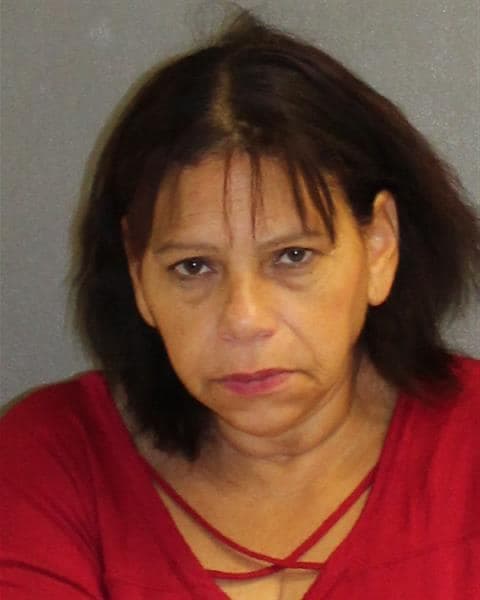 Este robo ocurrió en un Walmart del condado Volusia, en Florida, en donde ocurrieron otros siete robos. Sandra Rivera es la mujer que fue arrestada y enfrenta cargos por robo.