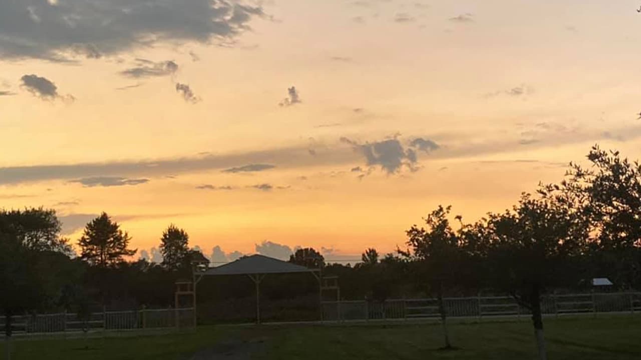 Margarita Hernández nos envió esta foto desde Alvin, Texas.