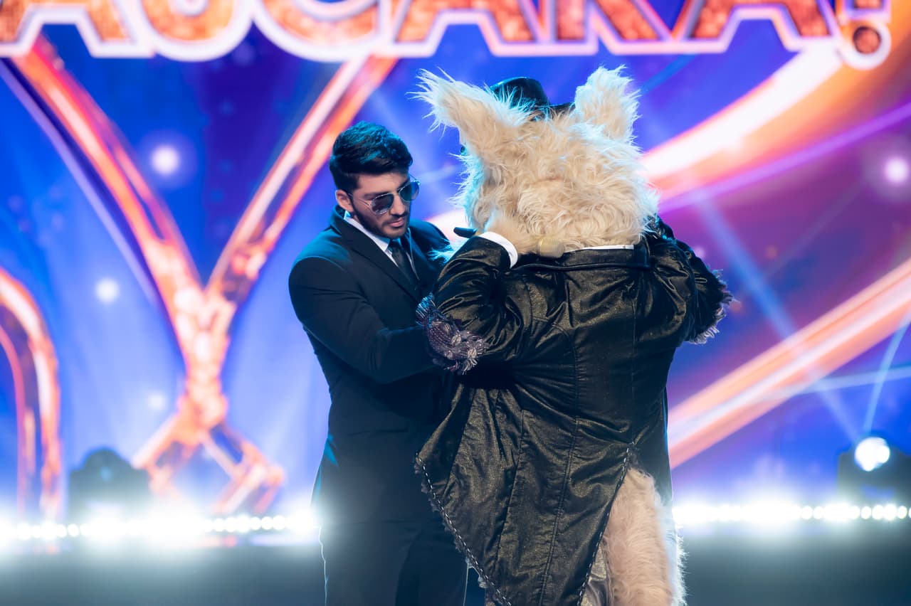 Eso significó que Perro Callejero tenía que abandonar la competencia.