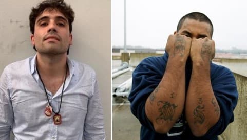 Por esta razón la pandilla MS-13 se alejó de Ovidio Guzmán y los otros hijos de ‘El Chapo’