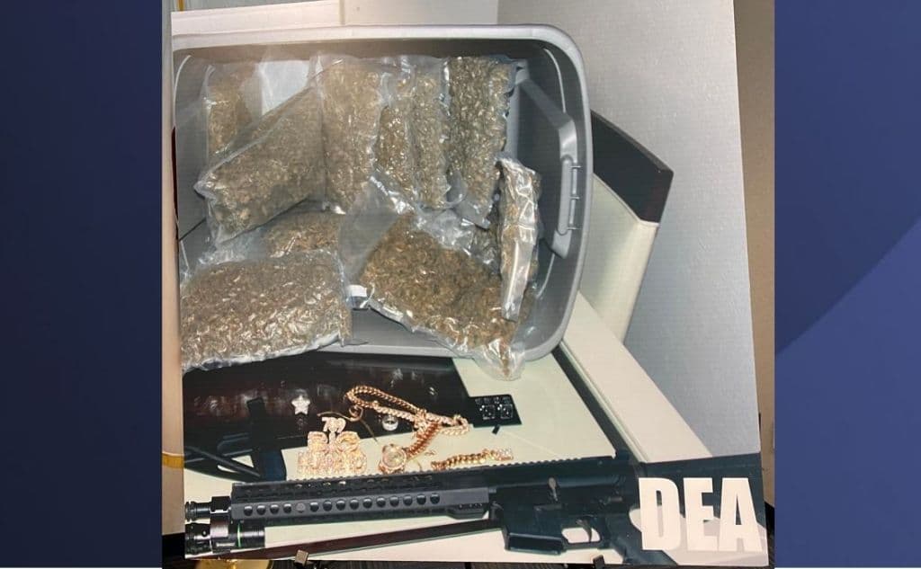 Las autoridades decomisaron 220 libras de droga entre gramos de cocaína, píldoras de fentanilo, metanfetamina y marihuana, además de 37 armas de distintos calibres, joyas y autos.