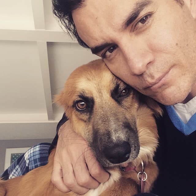 Rihanna llegó a su vida para iluminarla más. David rescató a su perrita para darle un hogar lleno de cariño.