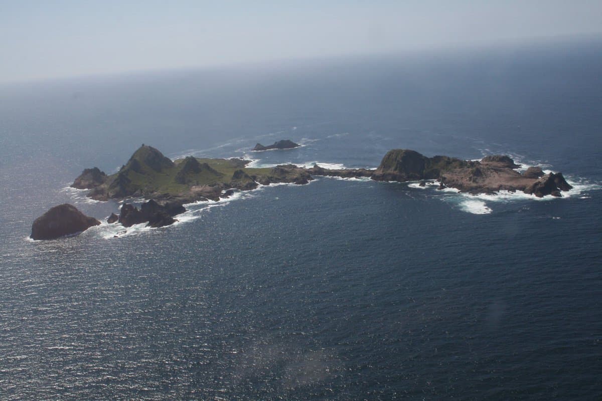 Por qué quieren fumigar con veneno para ratas un santuario de aves cerca de San Francisco