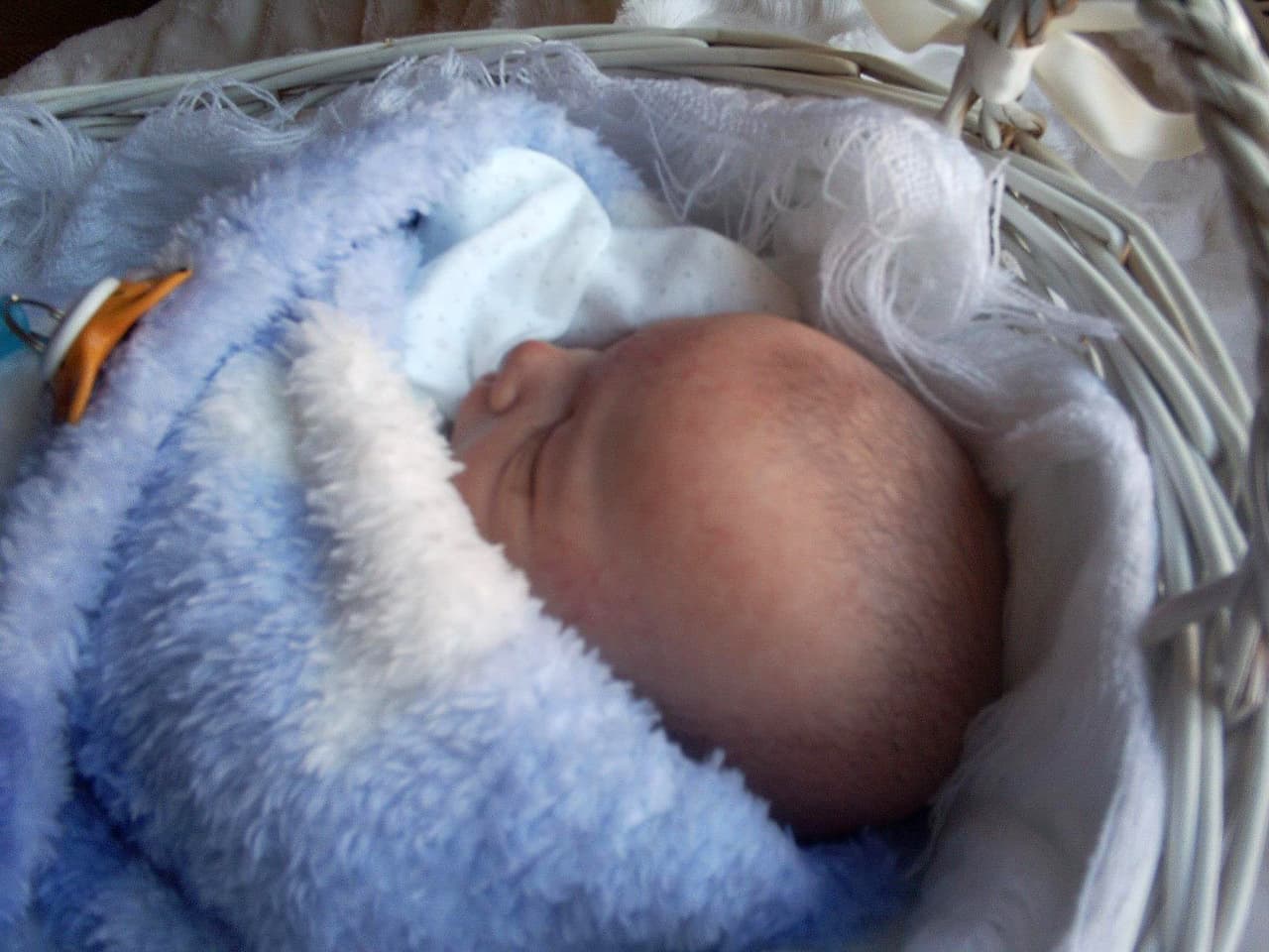 ¡De verdad parece que esta durmiendo!