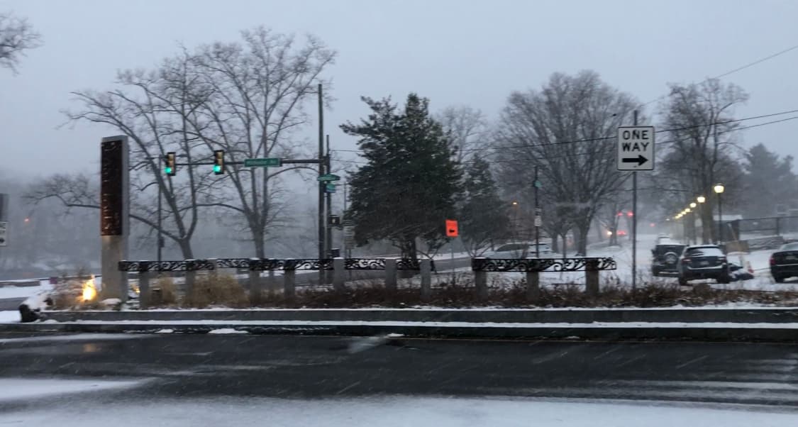 El Departamento de Parques y Recreación recuerda a los residentes que si un árbol cae durante una tormenta y bloquea una carretera, o si se ha caído sobre una casa, automóvil u otra propiedad, llame al 911.