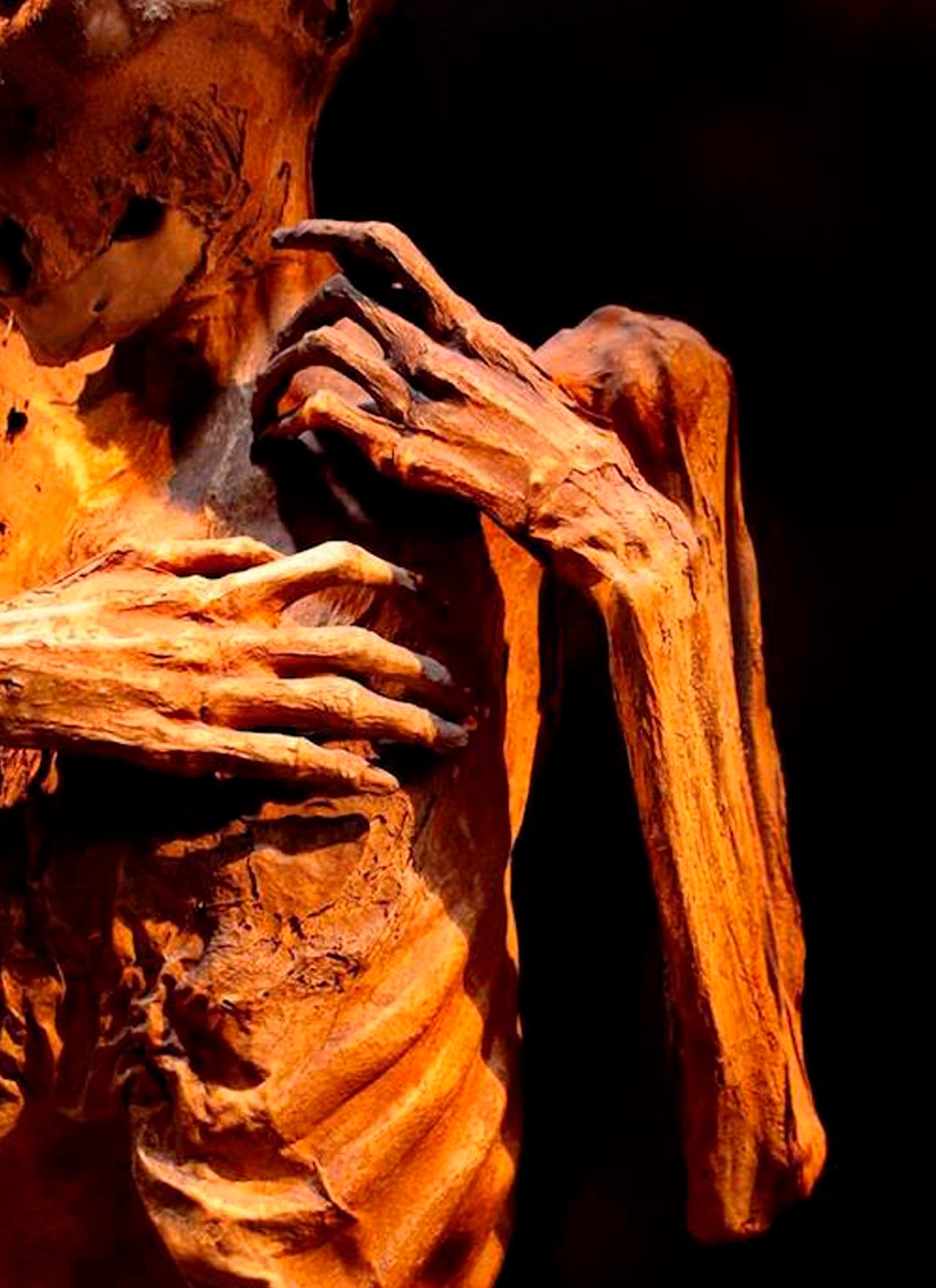 Los sepultureros se sorprendieron al abrir los nichos y encontrar los cuerpos momificados. No era resultado del trabajo de embalsamamiento llevado a cabo por el hombre. 
<br>