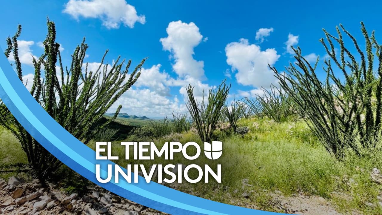 Mañana soleada con probabilidades de tormentas y lluvias para la mayor parte de Arizona