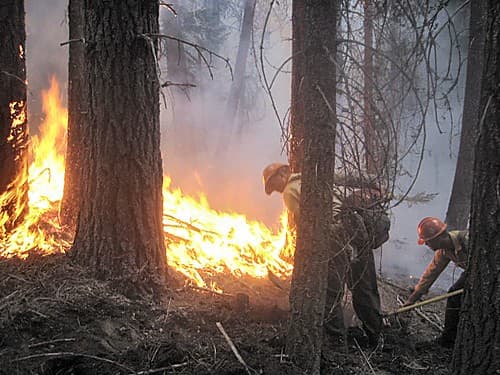 <b>Marble Cone</b>, julio de 1977
<br>177,866 acres
<br>Condado Monterey
<br>Un relámpago fue lo que provocó este incendio.
