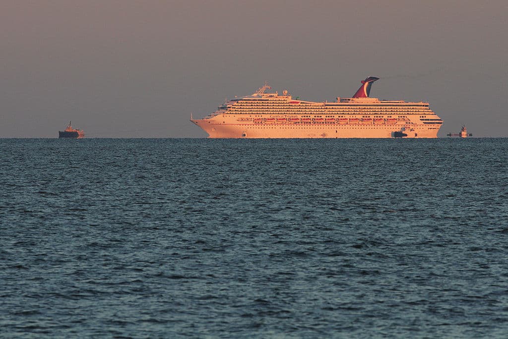 El animal fue visto navegando por el puerto de Galveston y el parque Seawolf, ubicado en la isla del sureste de Texas.