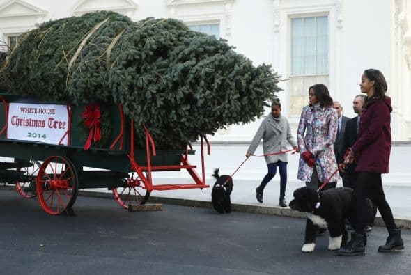 Esta tradición de la familia presidencial no se limita a un árbol, a pesar de que este es el más grande.