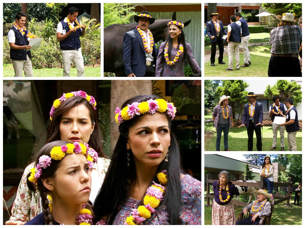 Pero tu denuncia no procedió y se quadaron con sus animalitos.