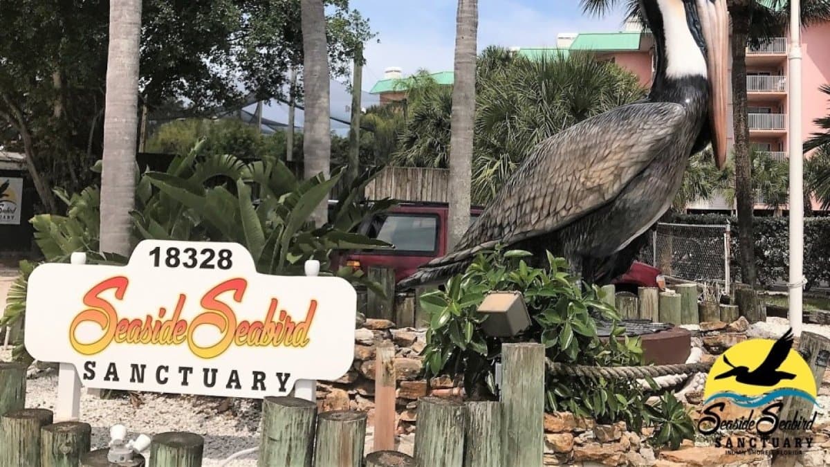 Además del paisaje, Oldsmar cuenta con
<b> restaurantes únicos y eventos de temporada</b> para que disfruten los visitantes.
<br>