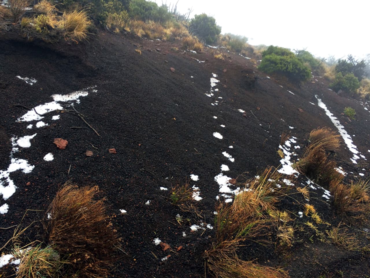 Algunas personas se desplazaron hasta el lugar, ubicado en las laderas del volcán Haleakala, para ver la inusual nevada.