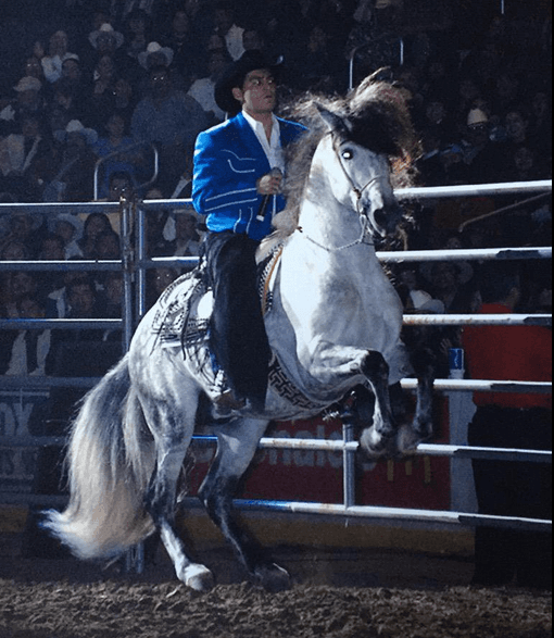 Además heredó de Joan Sebastian el gusto por los caballos.