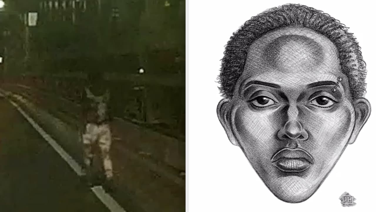 Captan a mujer caminando por el puente de Brooklyn antes de saltar; buscan identificarla