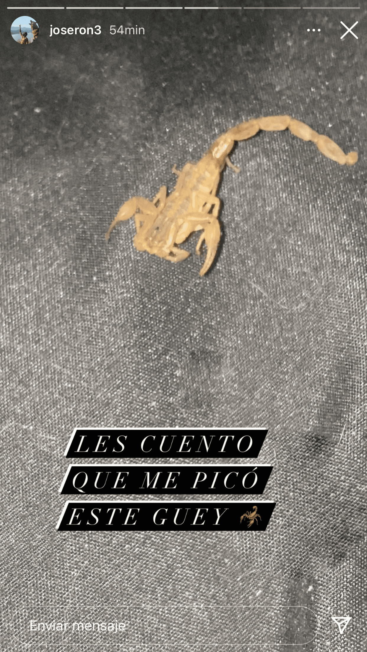 La razón fue que 
<b><a href="https://www.mayoclinic.org/es-es/diseases-conditions/scorpion-stings/symptoms-causes/syc-20353859#:~:text=Dolor%2C%20que%20puede%20ser%20intenso,Sensaci%C3%B3n%20de%20calor" target="_blank">sufrió la picadura de un alacrán (o escorpión)</a></b>, arácnidos que suelen representar peligro si su veneno es tóxico.