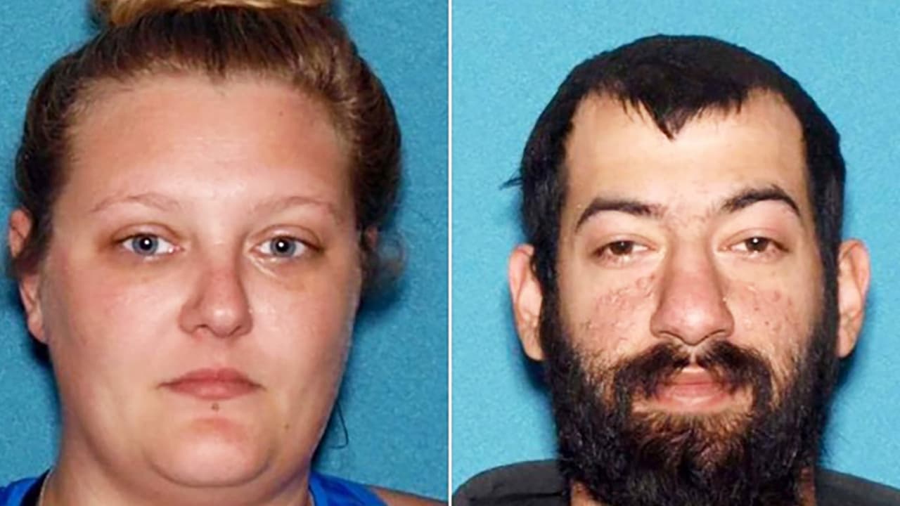 Cargos contra dos después de hallar a un niño en una casa de Evesham con decenas de perros muertos