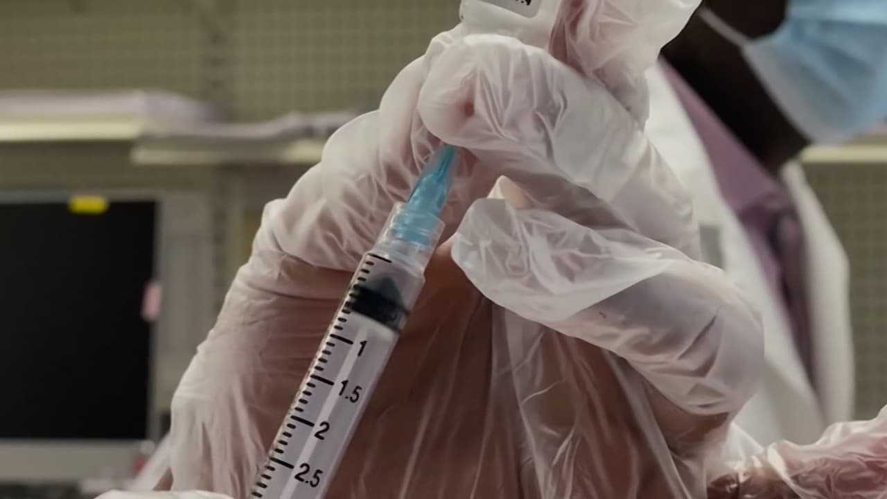 Pfizer busca aprobación de vacuna contra enfermedad de Lyme en Estados Unidos