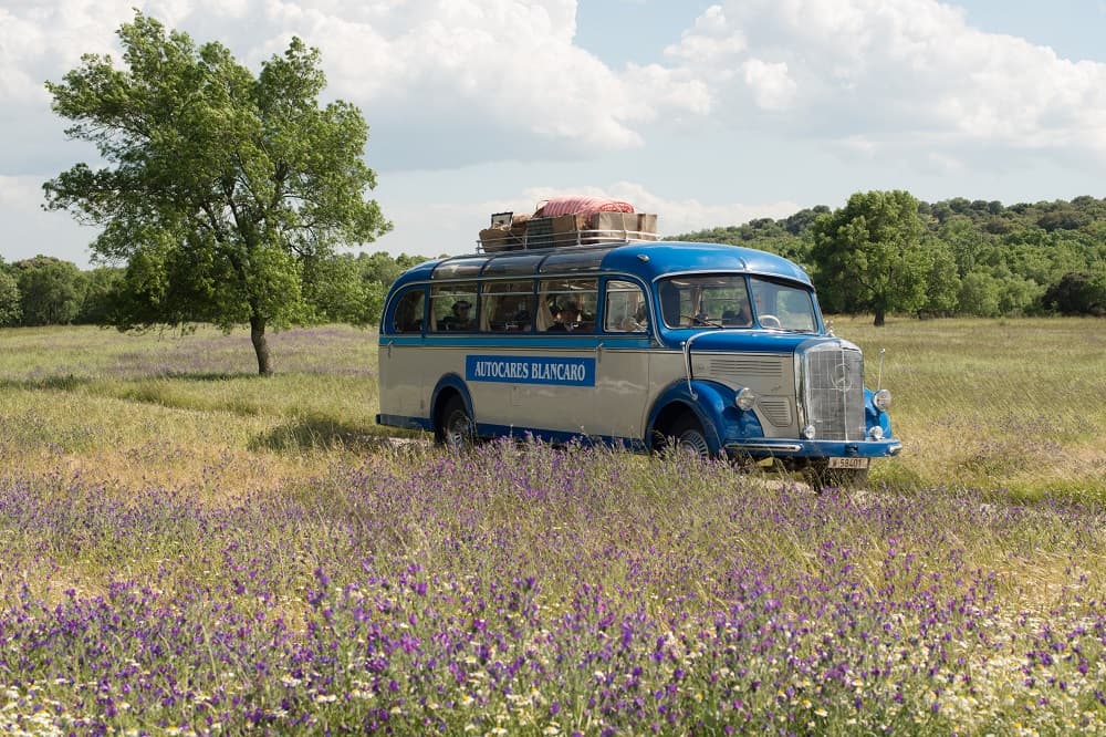 Al quedarse huerfana debe partir a la capital.