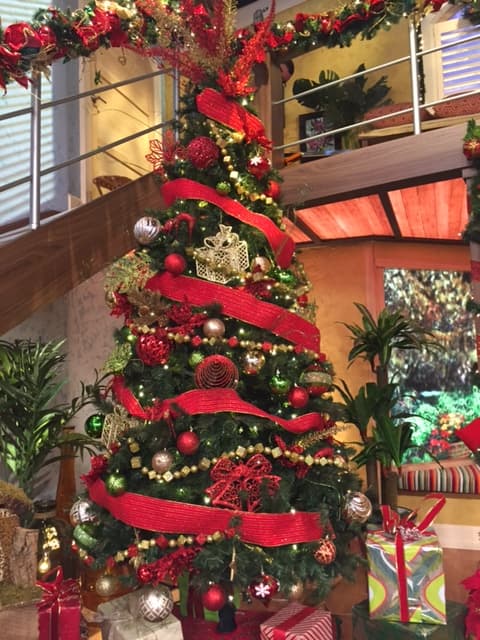 El enorme árbol navideño dejó cautivados a todos y las primeras cajas de regalos ya esán a sus pies.