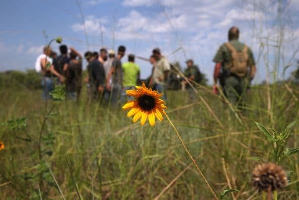 Indocumentados Texas