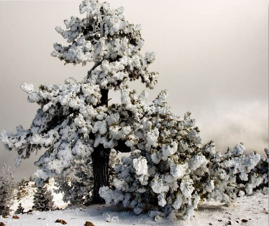 Según los expertos, las condiciones del tiempo no cambiarán en los próximos días.