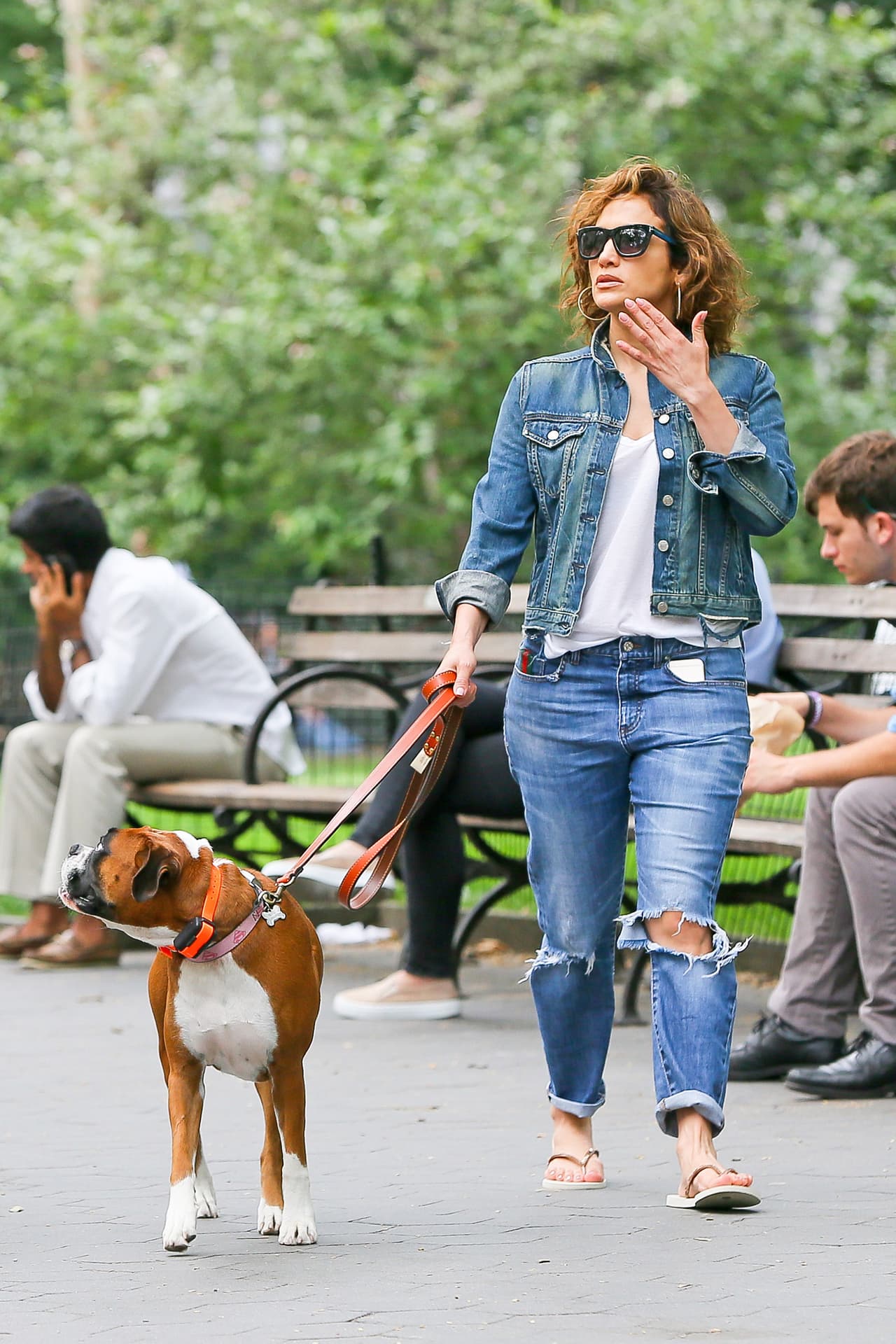 A Roxy le encanta el agua y mirar por la ventana.