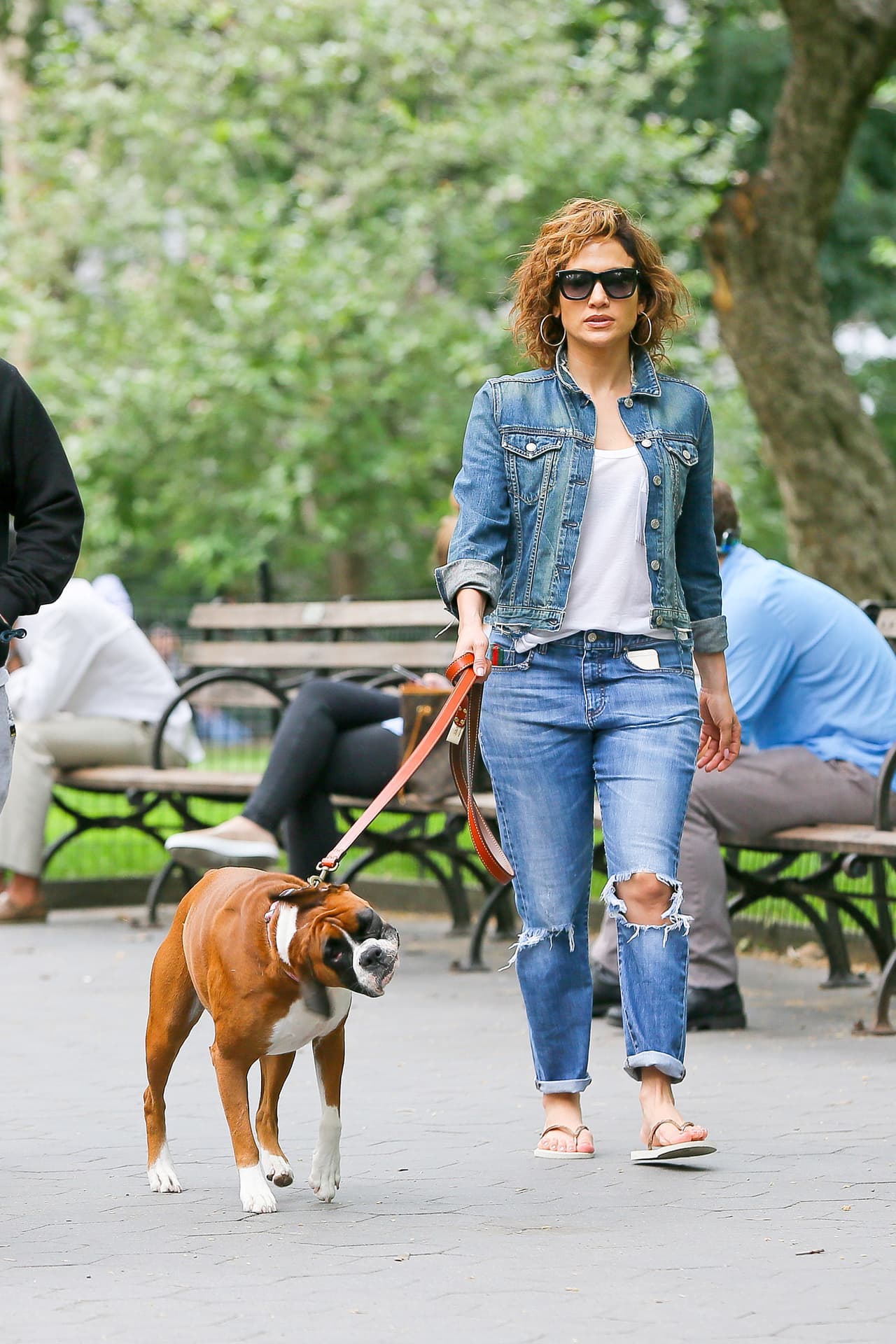 Por eso, una tarde tranquila era lo que los perros necesitaban para despejar su mente.