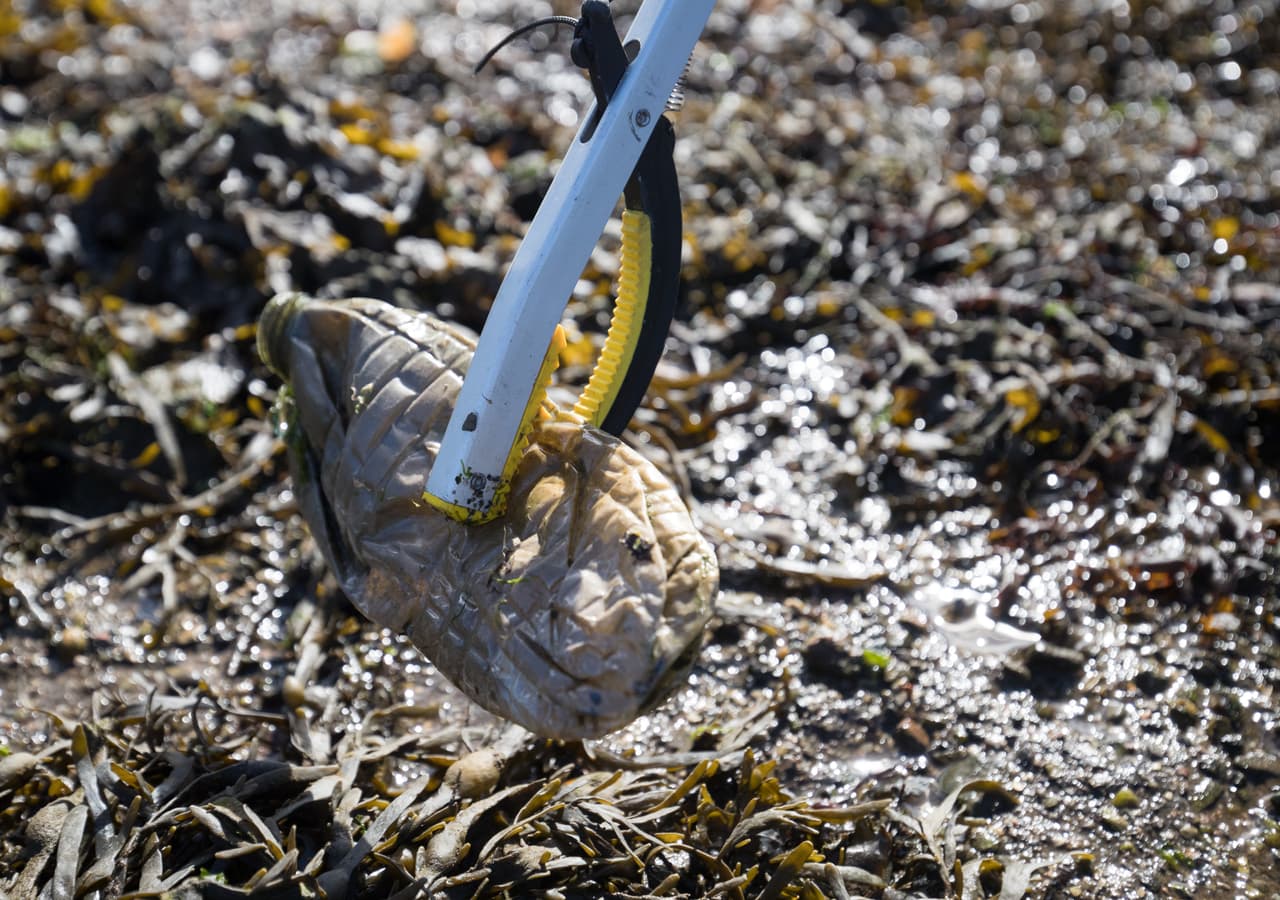 633 buzos limpian el fondo marino en el sur de Florida y baten un récord mundial Guiness