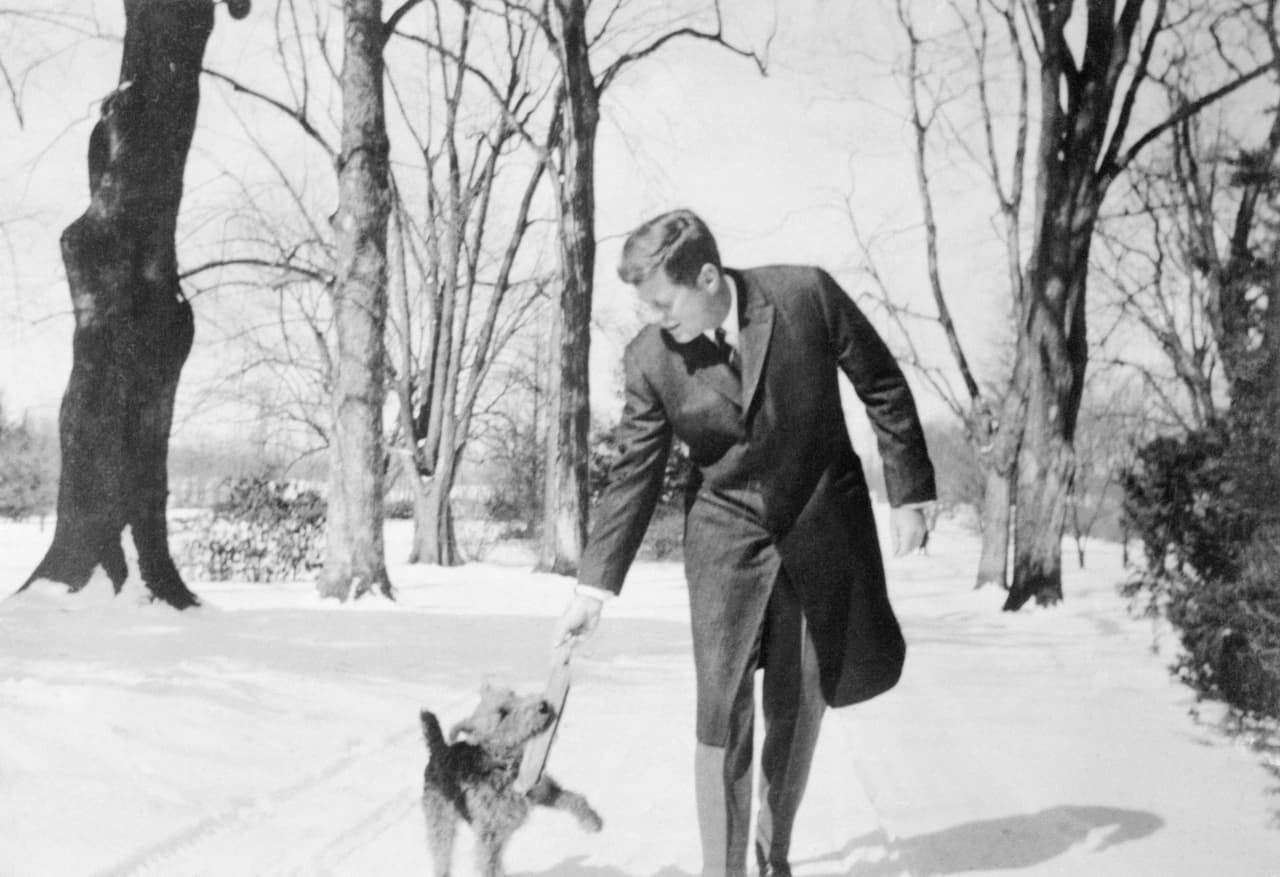 John Fitzgerald Kennedy, quien gobernó entre 1961 y 1963, tuvo al menos nueve perros. En la fotografía tomada en 1962 el mandatario junto a 'Charlie', un perro de raza
<i>Welsh Terrier.</i>