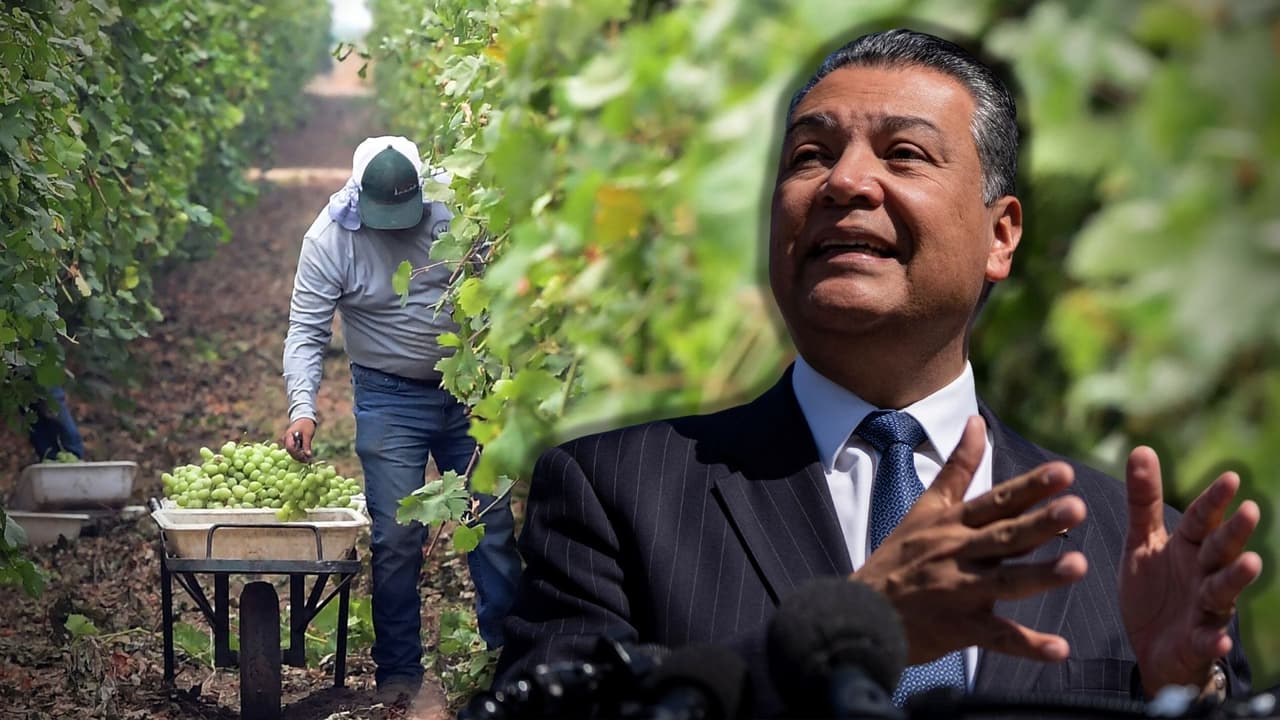 Alex Padilla va por la reelección en el Senado: habla de reforma migratoria y violencia armada