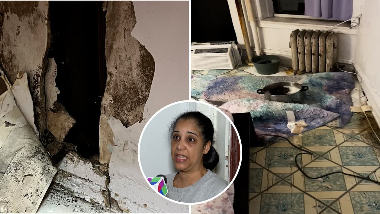 "Las ratas viven mejor": Hispanos narran la pesadilla de vivir en el edificio con el peor casero de Nueva York
