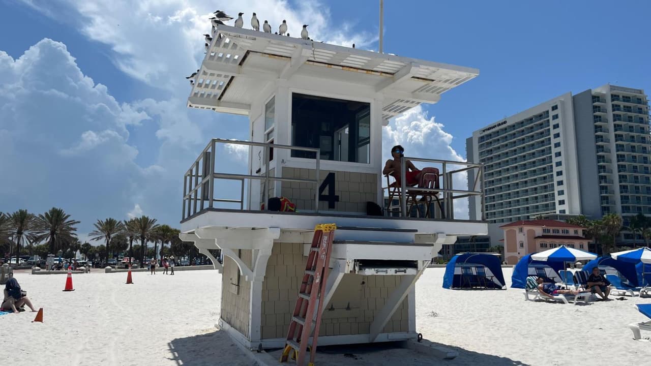 Estas son las medidas de seguridad a seguir en caso de visitar las playas de la Bahía de Tampa